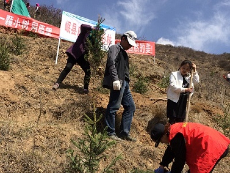 定西蘭生單采血漿公司岷縣漿站開展&ldquo;愛心林&rdquo;植樹活動